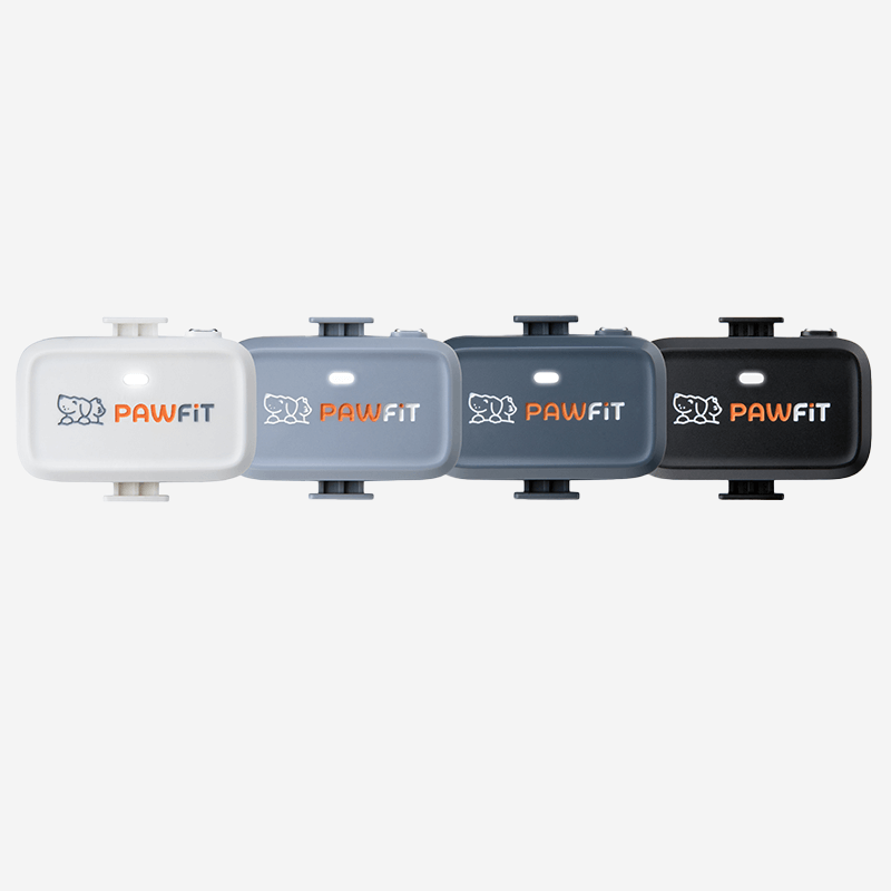 Pawfit Lite GPS tracker colour options for cats